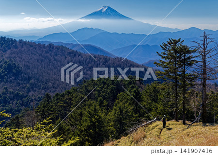 晩秋の大菩薩連嶺・牛奥ノ雁ヶ腹摺山を行くハイカーと富士山 晩秋の大菩薩連嶺・牛奥ノ雁ヶ腹摺山を行くハイカーと富士山 141907416