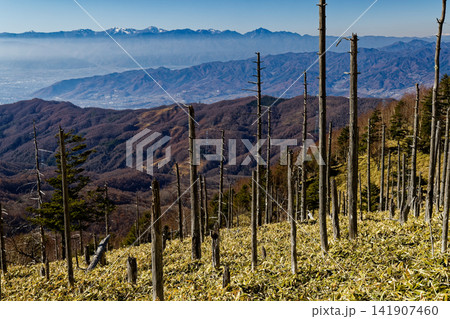 大菩薩連嶺・牛奥ノ雁ヶ腹摺山から見る南アルプスの山並みと甲府盆地 大菩薩連嶺・牛奥ノ雁ヶ腹摺山から見る南アルプスの山並みと甲府盆地 141907460