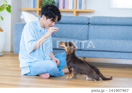 ファミリー 犬のいる暮らし しつけをしている男性 ファミリー 犬のいる暮らし しつけをしている男性 141907467