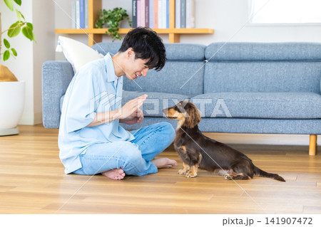 ファミリー 犬のいる暮らし しつけをしている男性 ファミリー 犬のいる暮らし しつけをしている男性 141907472