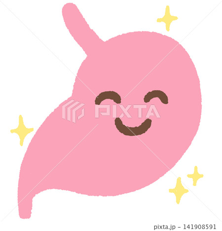 健康な胃のイラスト 健康な胃のイラスト 141908591