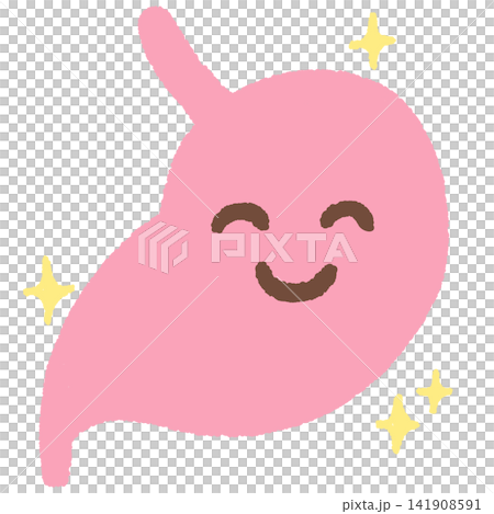 健康な胃のイラスト 健康な胃のイラスト 141908591