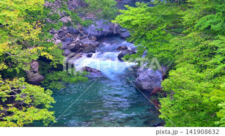川の水が綺麗な付知峡 141908632