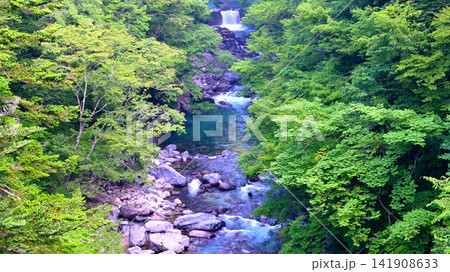 川の水が綺麗な付知峡 川の水が綺麗な付知峡 141908633
