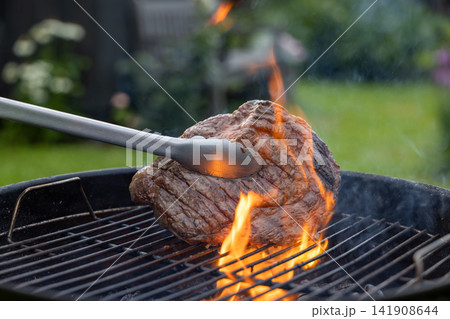 Juicy Beef Steak Grilling on Charcoal Barbecue in Garden Juicy Beef Steak Grilling on Charcoal Barbecue in Garden 141908644