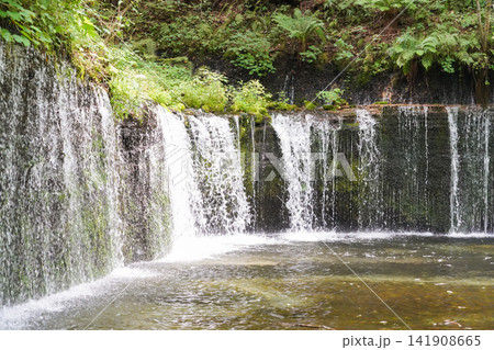 白糸の滝の美しい全景 141908665