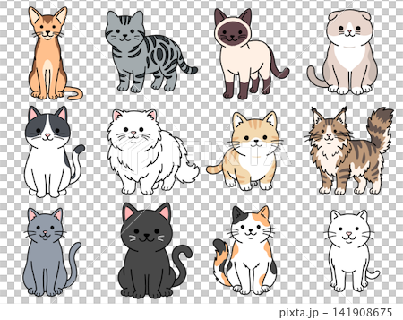 Set of 12 cat illustrations Set of 12 cat illustrations 141908675