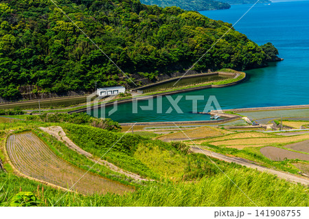土谷棚田(田植え後)【長崎県松浦市】 土谷棚田(田植え後)【長崎県松浦市】 141908755