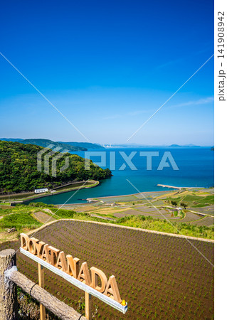 土谷棚田(田植え後)【長崎県松浦市】 土谷棚田(田植え後)【長崎県松浦市】 141908942