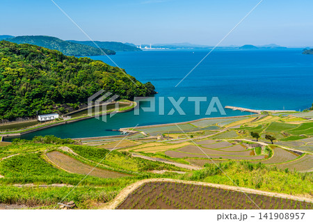 土谷棚田(田植え後)【長崎県松浦市】 土谷棚田(田植え後)【長崎県松浦市】 141908957
