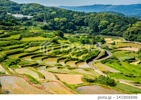 土谷棚田(田植え後)【長崎県松浦市】 土谷棚田(田植え後)【長崎県松浦市】 141908986