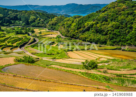 土谷棚田(田植え後)【長崎県松浦市】 土谷棚田(田植え後)【長崎県松浦市】 141908988