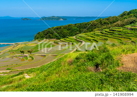 土谷棚田(田植え後)【長崎県松浦市】 土谷棚田(田植え後)【長崎県松浦市】 141908994