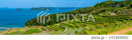 土谷棚田(田植え後)パノラマ【長崎県松浦市】 土谷棚田(田植え後)パノラマ【長崎県松浦市】 141909002