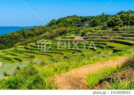 土谷棚田(田植え後)【長崎県松浦市】 土谷棚田(田植え後)【長崎県松浦市】 141909003