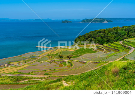 土谷棚田(田植え後)【長崎県松浦市】 土谷棚田(田植え後)【長崎県松浦市】 141909004
