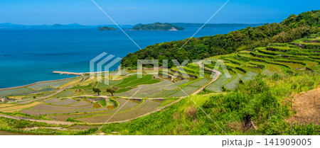 土谷棚田(田植え後)パノラマ【長崎県松浦市】 土谷棚田(田植え後)パノラマ【長崎県松浦市】 141909005