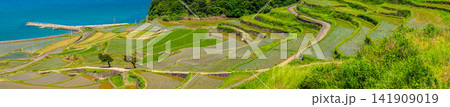 土谷棚田(田植え後)パノラマ【長崎県松浦市】 土谷棚田(田植え後)パノラマ【長崎県松浦市】 141909019
