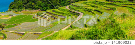 土谷棚田(田植え後)パノラマ【長崎県松浦市】 土谷棚田(田植え後)パノラマ【長崎県松浦市】 141909022