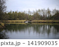 静かな湖 141909035