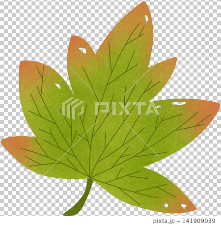 green maple leaf green maple leaf 141909039