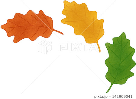 three oak leaf 141909041