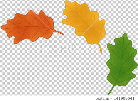 three oak leaf three oak leaf 141909041