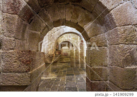 Interior of the crypt of the Monastery of San Salvador of Leyre Interior of the crypt of the Monastery of San Salvador of Leyre 141909299