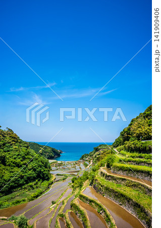 浜野浦の棚田(田植え後)【佐賀県東松浦郡玄海町】 浜野浦の棚田(田植え後)【佐賀県東松浦郡玄海町】 141909406
