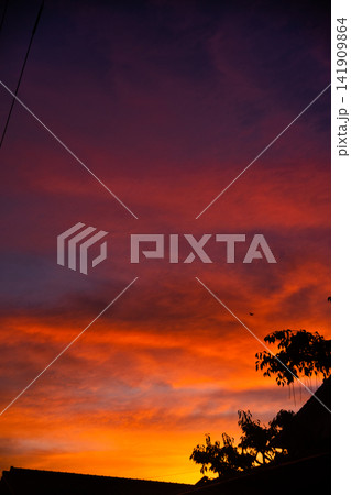 夕暮れ 夕暮れ 141909864