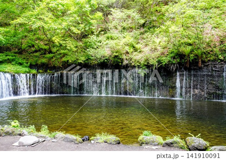 白糸の滝 白糸の滝 141910091
