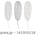 レースプラント 141910118