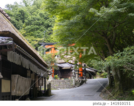 京都 嵯峨鳥居本伝統的建造物群保存地区の風景 京都 嵯峨鳥居本伝統的建造物群保存地区の風景 141910151