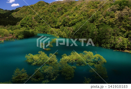 秋扇湖コバルトブルーの湖面と水没林 秋扇湖コバルトブルーの湖面と水没林 141910183