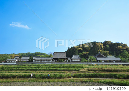 奈良　橘寺 141910399