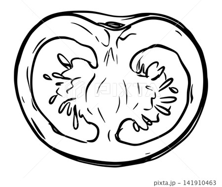 Sketch of a halved cherry pomidoro. Retro style vector clip art. Linear ink outline drawing. Farm tomato cut in half. Botanical stylized illustration of a ripe vegetable. 141910463