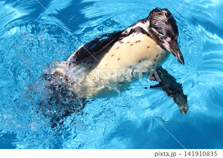 室蘭市みんなの水族館 141910835
