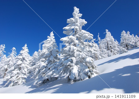 西吾妻山の樹氷 西吾妻山の樹氷 141911109