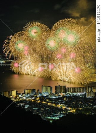 黄緑の花火 第40回びわ湖大花火大会 夢見が丘展望台 黄緑の花火 第40回びわ湖大花火大会 夢見が丘展望台 141911170