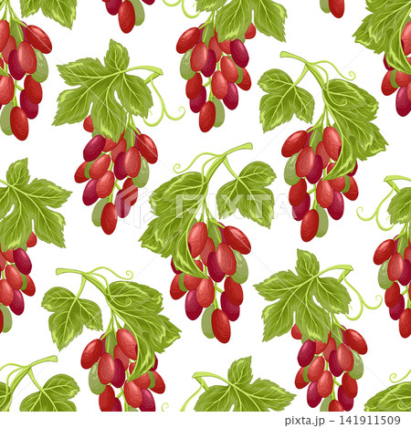 Grapes seamless pattern. Grapevine with leaves and red berries, vinery elements. Fresh harvest, agricultural market goods. Fruit vector illustration on white background 141911509