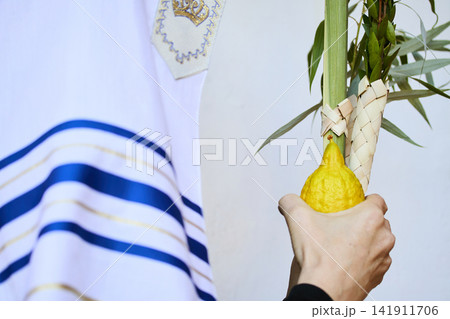 Person holding four species lulav and etrog during sukkot Person holding four species lulav and etrog during sukkot 141911706
