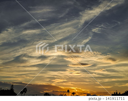 Sunset sky with dark silhouettes of palm trees and houses in a colorful display over the horizon Sunset sky with dark silhouettes of palm trees and houses in a colorful display over the horizon 141911711