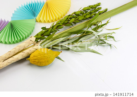 Sukkot lulav etrog and four species on white Sukkot lulav etrog and four species on white 141911714