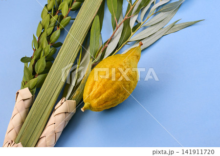 Sukkot four species lulav etrog hadas aravah 141911720