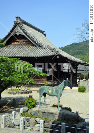 奈良明日香 橘寺 聖徳太子の愛馬黒駒と観音堂 奈良明日香 橘寺 聖徳太子の愛馬黒駒と観音堂 141911810