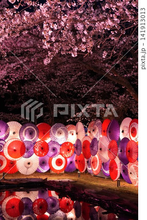 夜桜と和傘 141913013