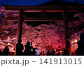 夜桜と和傘 141913015