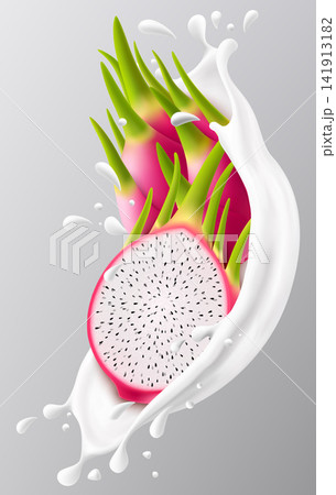 Ripe dragon fruit in a milk splash isolated on gray background. Fresh pitaya dropping into milk or yogurt splash. Milkshake splash with ripe dragon fruit. Realistic 3d vector illustration 141913182