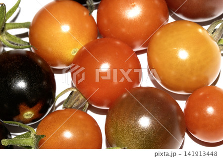 Homegrown fresh tomatoes different breeds and colours on a white background vine picked 141913448