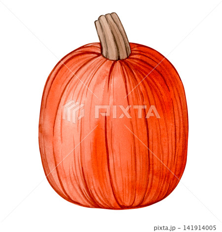 Autumn pumpkin. Watercolor clipart, vintage illustration. 141914005